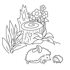 A big hedgehog and a small hedgehog on a white background. Sketch. Vector illustration. 