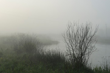 Fototapeta na wymiar fog over forest lake at sunrise in summer