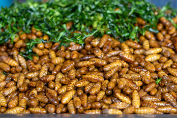 Fried silk worms delicious in street food in Thailand. Close up