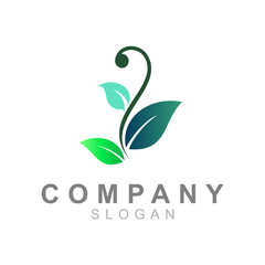  three leaf logo with simple display, medical logo 