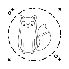 cute fox animal in frame circular