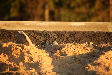 Construction of the road of modern concrete high-speed highway.