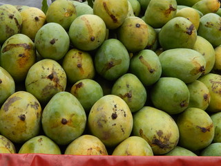 Indian Mango in summer days