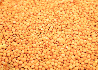 Lentils pattern as background texture