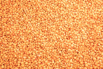 Lentils pattern as background texture