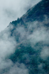 雨後の山の風景
