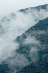 雨後の山の風景