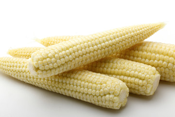 ヤングコーン 白バック