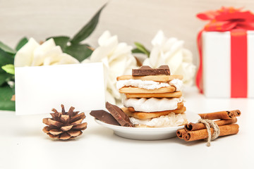 smore - cookies, chocolate and marshmallows - traditional dessert - card mock up