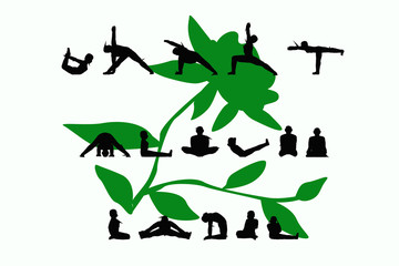  silhouette yoga vector illustration. Fitness Concept. Gymnastics. Aerobics.