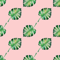 Fototapeta na wymiar Seamless pattern from tropical leaves. Monstera. Watercolor painting. Exotic plant. Natural print. Sketch drawing. Botanical composition. Greeting card. Painted background. Hand drawn illustration