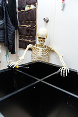 Bony skeleton assembling a black wooden shelf