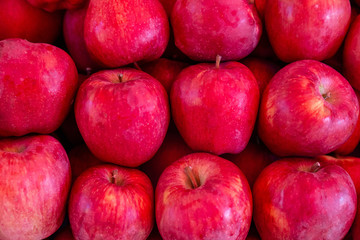 Red apples background
