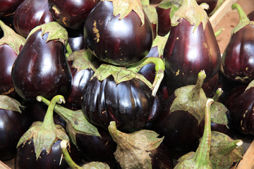 Frische Auberginen auf einem Markt in Catania. Italien