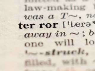 Dictionary definition of word terror, selective focus.