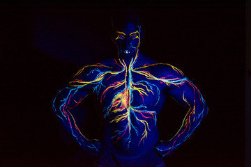 UV picture of the circulatory system body art on the body of an adult male. On the chest of a...