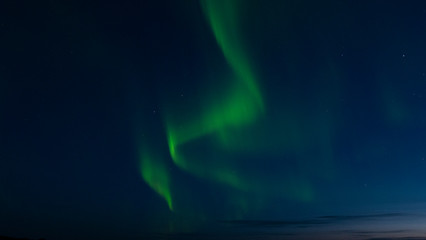 Aurora borelias in Swedish Lapland