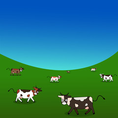 Dairy cows in a meadow, summer  landscape, cow on ranch fields and country.