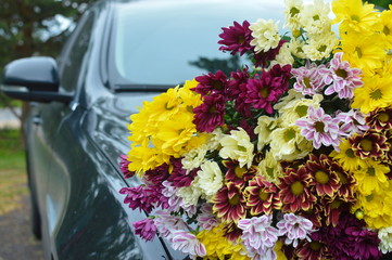 Fototapeta na wymiar flowers in a car