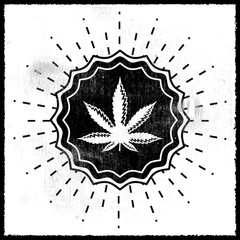 Marijuana emblem vector seal, Cannabis Leaf Plant sign illustration 