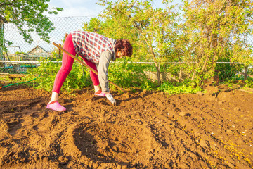 Beautiful mature women preparing the hole in the ground for planting vegetables.
