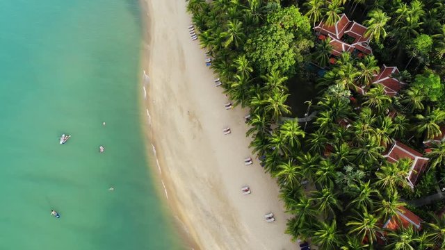 Blue lagoon and sandy beach with palms. Aerial view of blue lagoon and sun beds on sandy beach with coconut palms and roof bungalows