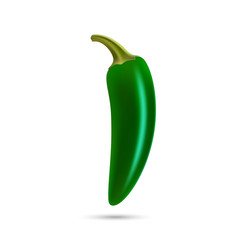 realistic Green hot natural jalapenoi pepper