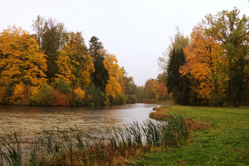 Lake in the autumn park. Autumn beauty.