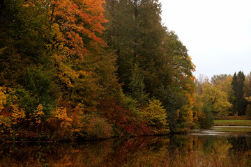 Lake in the autumn park. Autumn beauty.