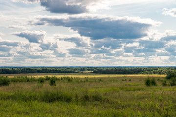 Obraz premium Summer landscape. View from the top of the hill on the field and forest on a summer day.