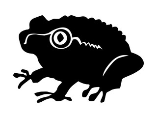 silhouette of toad