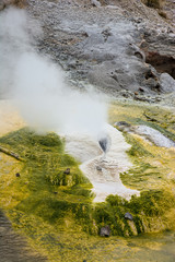 Norris Geyser Basin