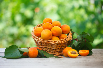 Ripe fresh organic apricots in wicker basket on wooden table, with green garden for background. Detox apricot fruit for healthy living style.