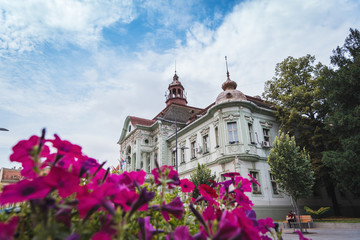 Fototapeta na wymiar floral arrangement in front of the City Hall in Zrenjanin