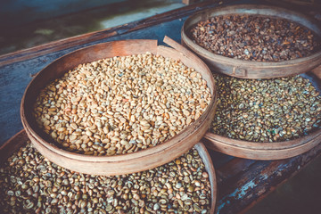 Kopi Luwak coffe beans, Bali, Indonesia