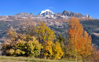 trees with beautiful autumnal colors in front of rocky mountain and snowy peak