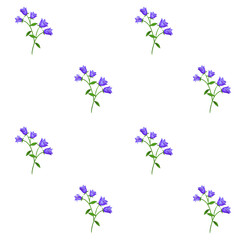 Seamless floral pattern with blue bell flowers on white background.