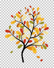 Falling maple leaves