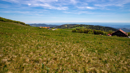 Blick vom Elsässer Belchen nach Belfort