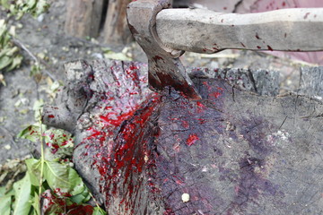 blood and ax