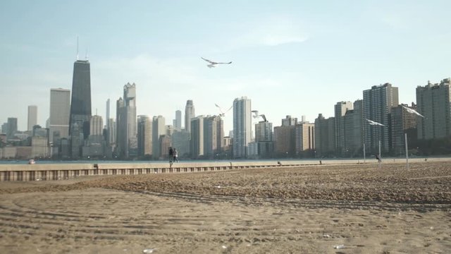 Seagulls fly around Lake Michigan and the Chicago skyline near downtown Chicago, IL.