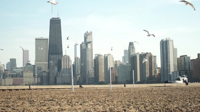 Seagulls fly around Lake Michigan and the Chicago skyline near downtown Chicago, IL.