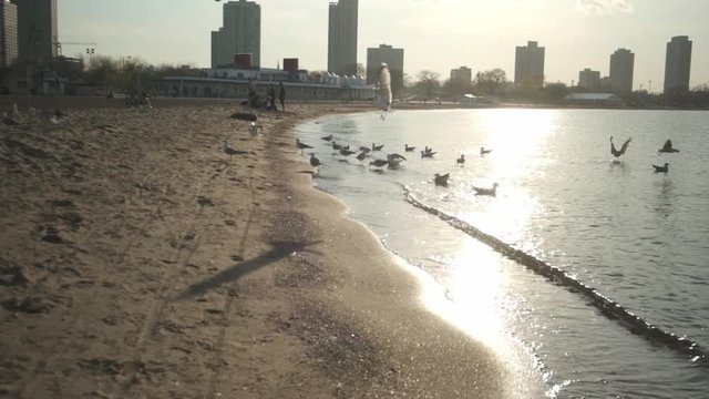 Seagulls fly around Lake Michigan and the Chicago skyline near downtown Chicago, IL.