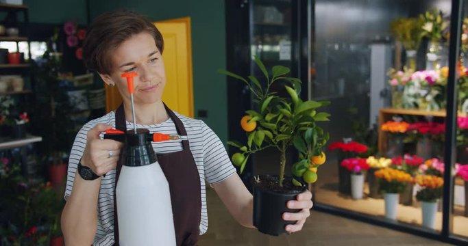 Joyful employee of flower store is watering cirtus plant in pot in workplace using bottle sprayer busy with routine work. Girl is wearing uniform apron.