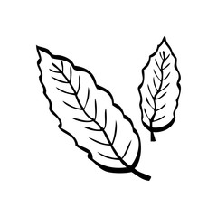 Black and white vector illustration of two leaves on white background