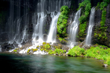 Fototapeta premium 白糸の滝