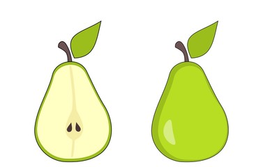 Cartoon pear fruit and pear slices isolated on white background
