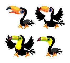 Set of four cartoon toucans (Ramphastos toco, Ramphastos sulfuratus) isolated on white