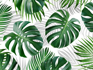 Tropical leaves pattern background design of monstera and yellow palm Summer banner - obrazy, fototapety, plakaty