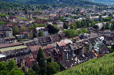 Blick auf Freiburg-Wiehre und Oberau